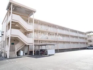 ベルメゾン錦の画像