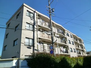 エバーグリーンの画像