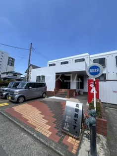 ハイツマイヤアタの画像