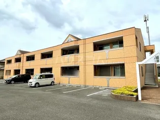 ソレイユ イワネの画像