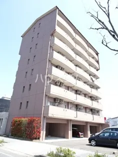 けやき通りの画像