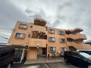 サクシードの画像