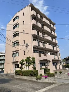 サフィニアMIの画像