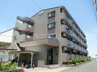 エルフィンの画像