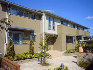 メゾンドールの画像