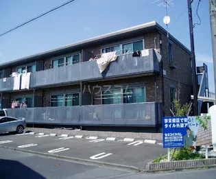 セレーノYの画像