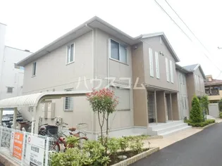 ステラポラーレの画像