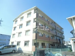 ジニアス塩澤の画像