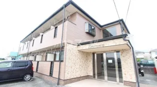 シャルマンの画像