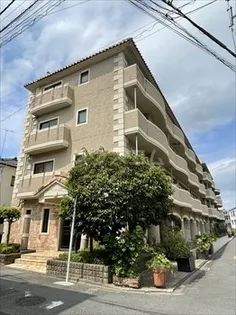 ジェイ ジルーBの画像