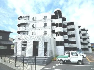 プリメーラMTの画像