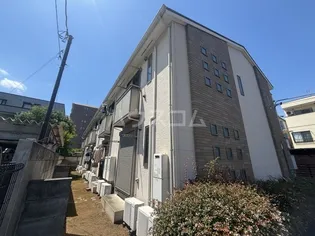 パルムドールの画像