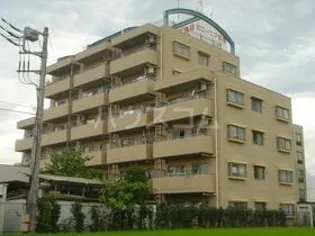 ポローニア指扇の画像