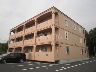 アンシャンテの画像