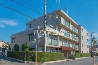 サエラ宮原の画像