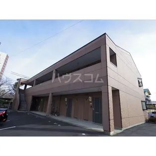 アプリコットの画像