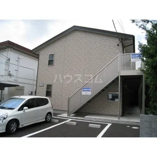 アムール ピジョンの画像