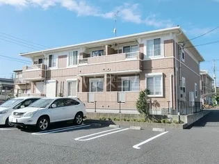 パインコーンBの画像