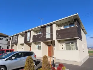 モクリカーサの画像