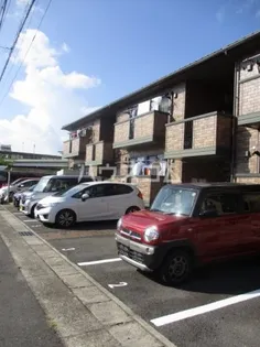 MAISONNETTEルピナスの画像