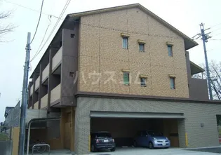 ルミナスサンノバクの画像