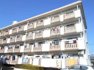 スカイビレッジ六番館の画像