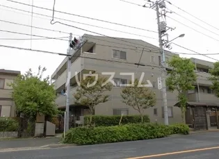 ヴェルドミール カシマの画像