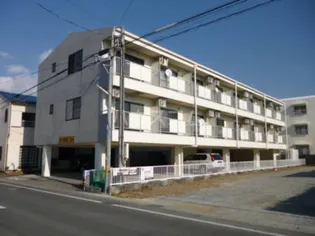 静岡県浜松市中央区城北2丁目【アパート】の外観