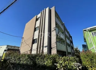 セレスティアルアスカの画像