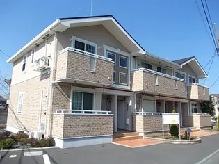 こゆるぎの画像