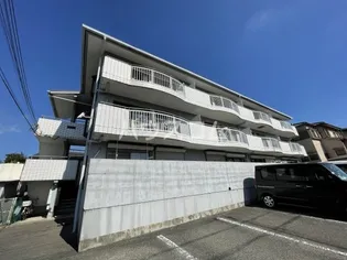 ドルフR&Mの画像