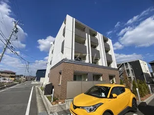 アプリコットAの画像