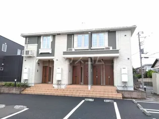 コニファーの画像