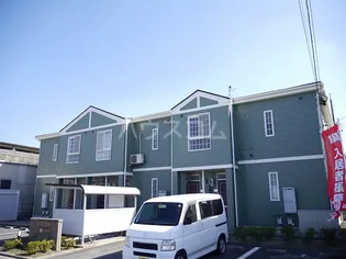 エバーグリーンの画像