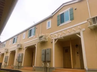 ステラ IIの画像