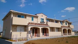 アクシアの画像