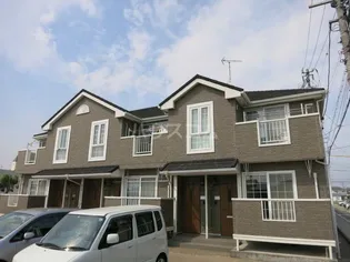 グレイス 9の画像