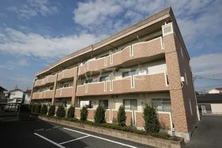 ゴールドグレイスIの画像