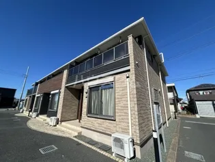 ヴィオラの画像