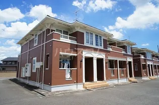 PINE DROP Bの画像