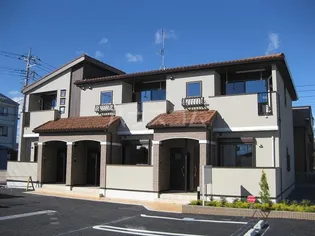 アニメートの画像