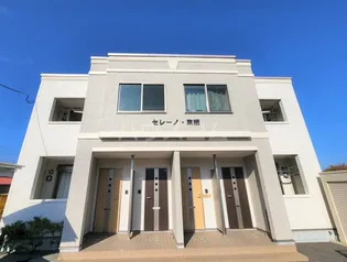 セレーノ 東栖の画像