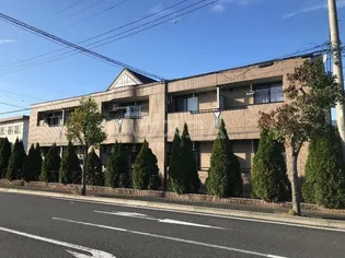 フェリシティの画像