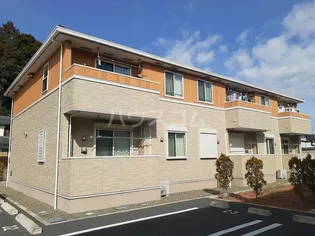 ビオラ アロッジオIIの画像