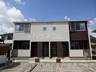シャーロットBの画像