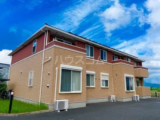 テ ルサーマ Dの画像