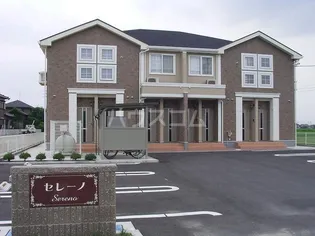 セレーノの画像