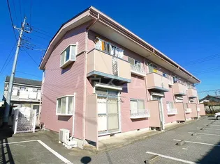 エルディム斉藤の画像