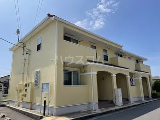 シースターの画像