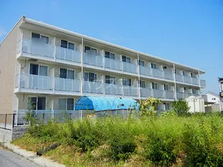 レオパレスグランズ浄水の画像